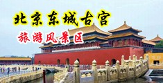 亚洲大鸡巴日逼中国北京-东城古宫旅游风景区
