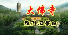 骚逼求插高清视频中国浙江-新昌大佛寺旅游风景区